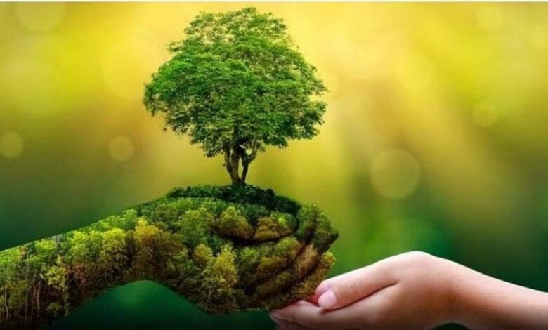 हरित-विकास-और-पर्यावरण-संरक्षण-के-लिये-मुख्यमंत्री-नगरीय-विकास-योजना