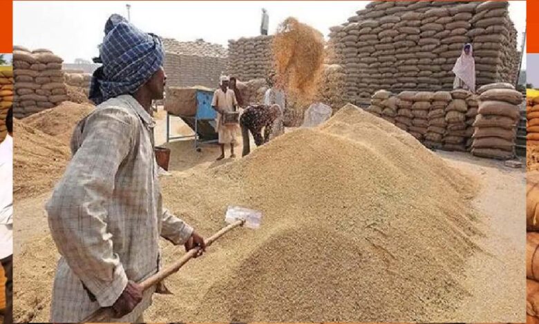 धान-खरीदी-गड़बड़ी,-फर्जी-तरीके-से-भुगतान-लेने-वालों-की-संपत्ति-होगी-सीज,-कलेक्टर-ने-दिया-आदेश