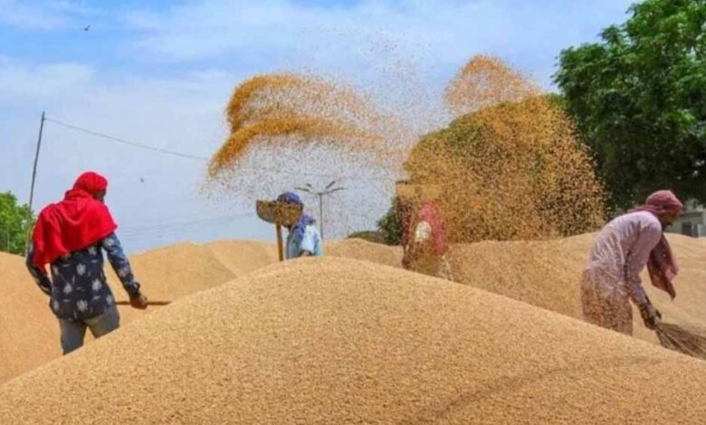 msp-पर-गेहूं-खरीदी-का-रिकॉर्ड,-सीहोर-नंबर-1-पर;-एक-माह-में-5.29-लाख-टन-से-अधिक-बिक्री