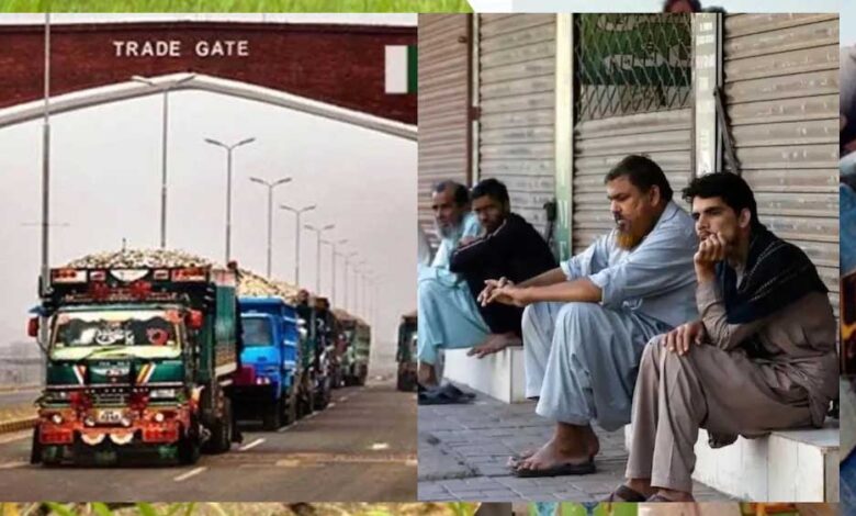 पाक-को-मिलने-वाली-आर्थिक-मदद-हुई-कम,-कुपोषण-जैसे-चुनौतियों-से-निपटने-चल-रहे-कार्यक्रम-पड़े-कमजोर